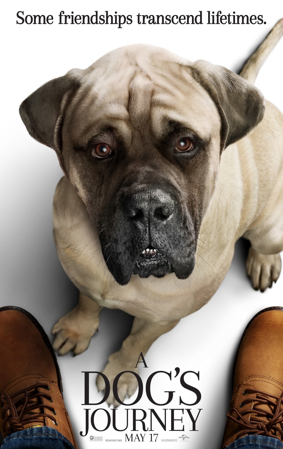 Собачья жизнь 2: постер N154172