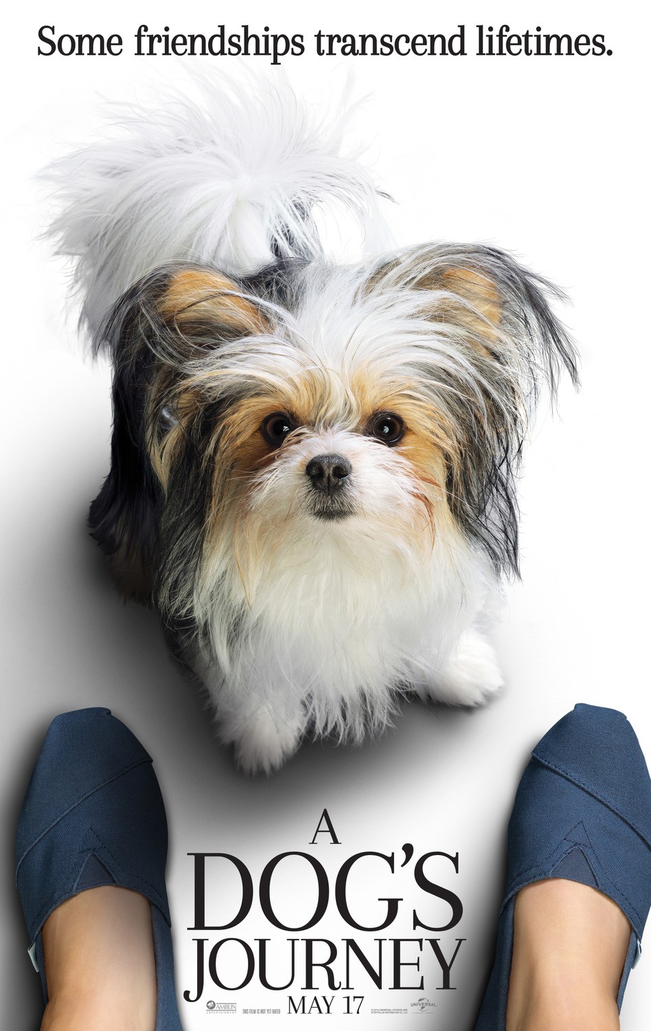 Собачья жизнь 2: постер N154173