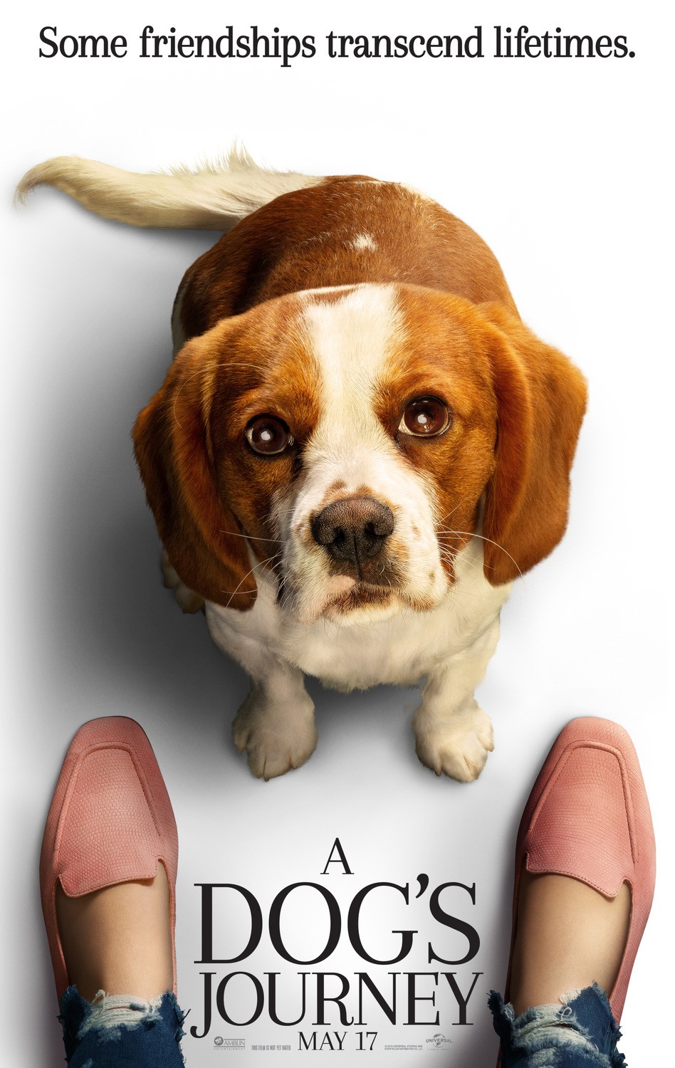 Собачья жизнь 2: постер N154174