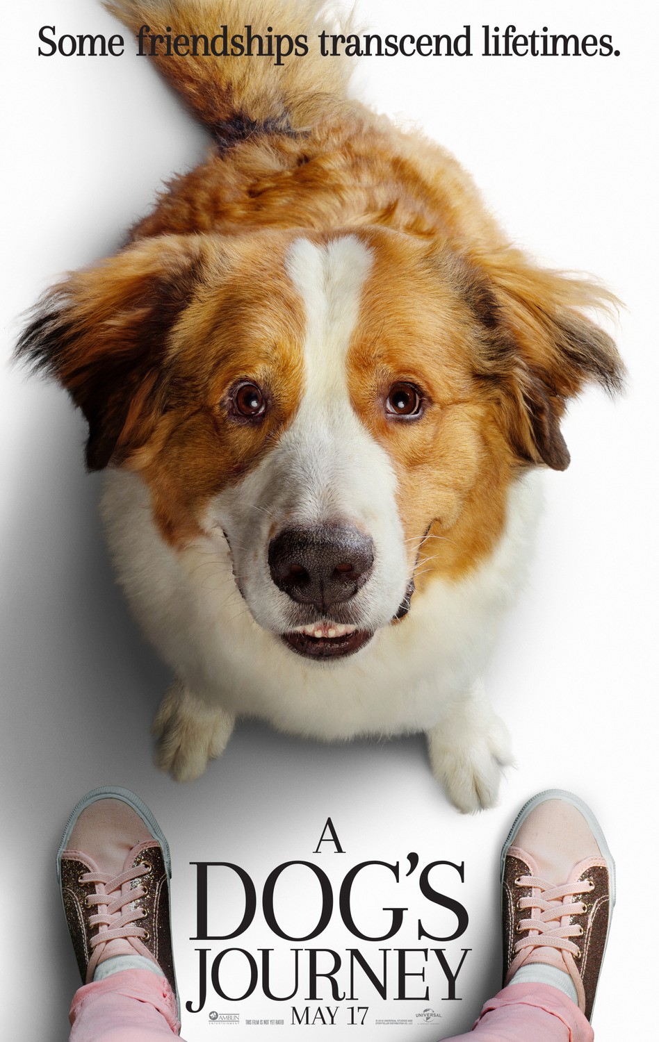 Собачья жизнь 2: постер N154175