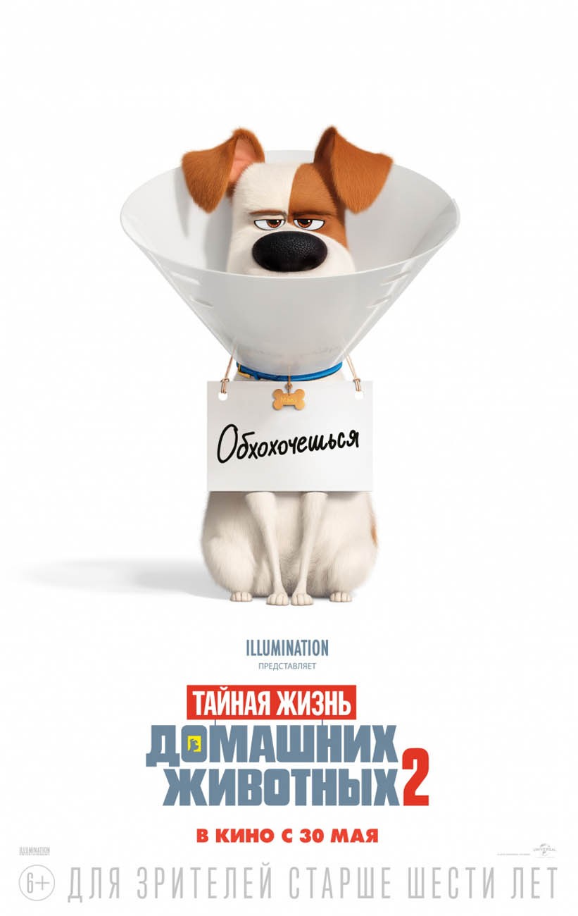 Тайная жизнь домашних животных 2 / The Secret Life of Pets 2 (2019) отзывы. Рецензии. Новости кино. Актеры фильма Тайная жизнь домашних животных 2. Отзывы о фильме Тайная жизнь домашних животных 2