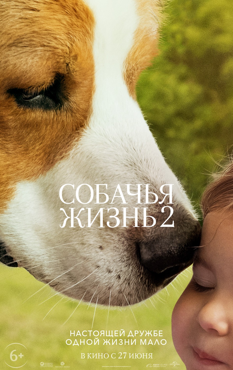 Собачья жизнь 2 / A Dog`s Journey (2019) отзывы. Рецензии. Новости кино. Актеры фильма Собачья жизнь 2. Отзывы о фильме Собачья жизнь 2