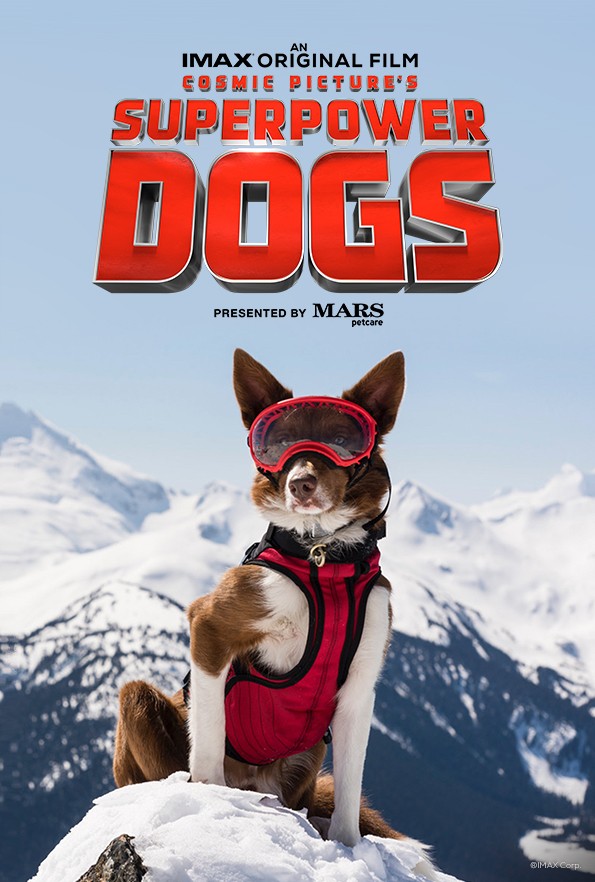 Суперсобаки / Superpower Dogs (2019) отзывы. Рецензии. Новости кино. Актеры фильма Суперсобаки. Отзывы о фильме Суперсобаки