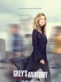 Постер к сериалу "Анатомия страсти"