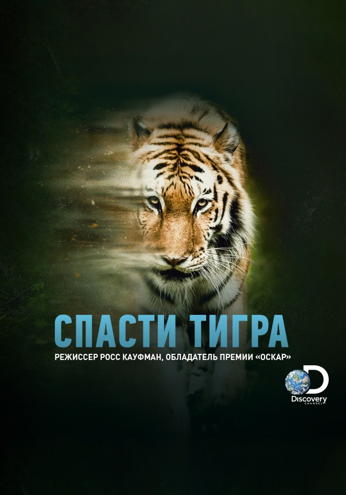 Спасти тигра / Taken by the Tiger (2019) отзывы. Рецензии. Новости кино. Актеры фильма Спасти тигра. Отзывы о фильме Спасти тигра