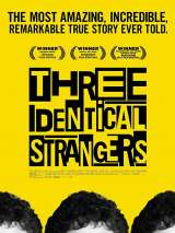 Превью постера #153231 к фильму "Три одинаковых незнакомца" (2018)