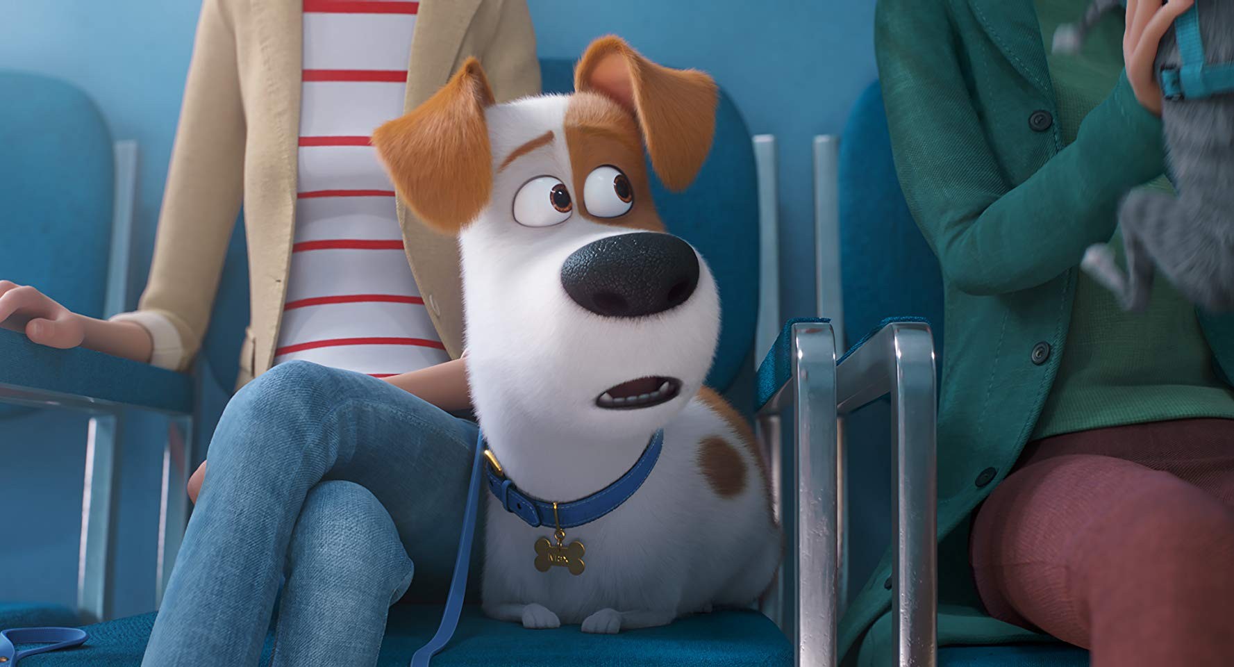 Фильм Тайная жизнь домашних животных 2 (2019). Кадр N153167