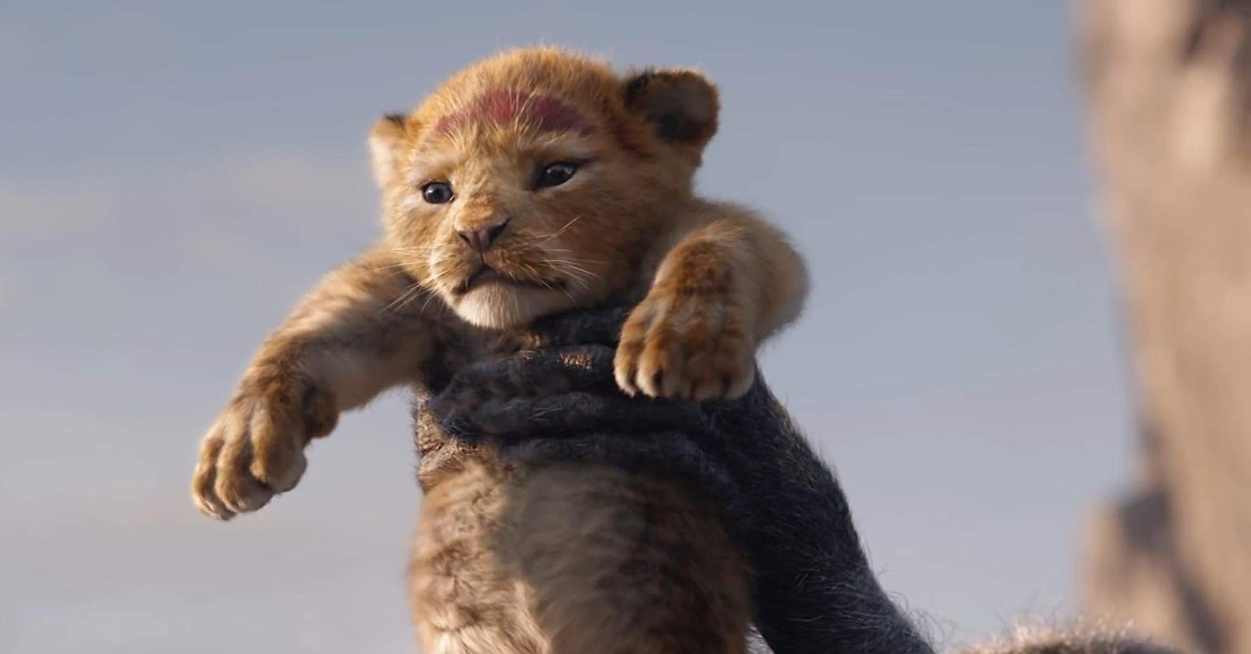 Фильм Король лев (2019). Кадр N153278