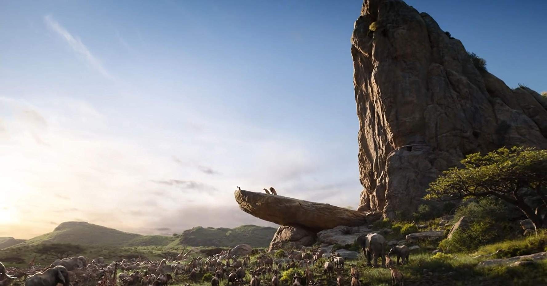 Фильм Король лев (2019). Кадр N153280