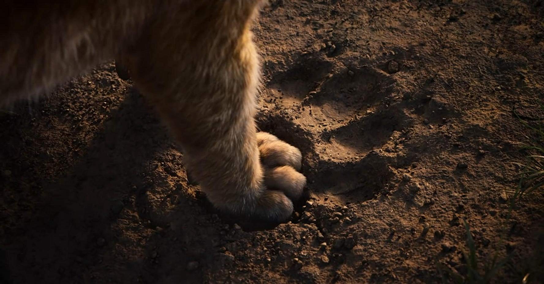 Кадр N153281 из мультфильма Король лев / The Lion King (2019)