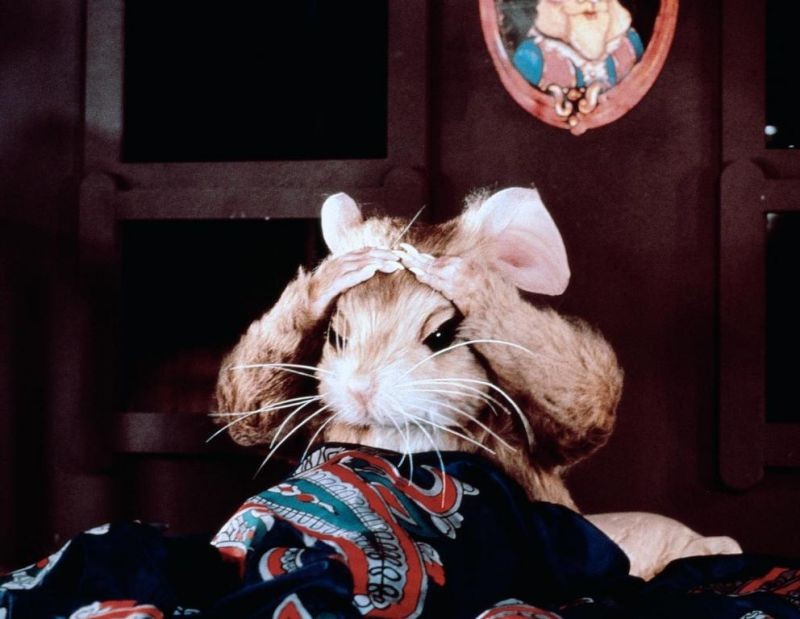 Фильм Ведьмы (1990). Кадр N153715