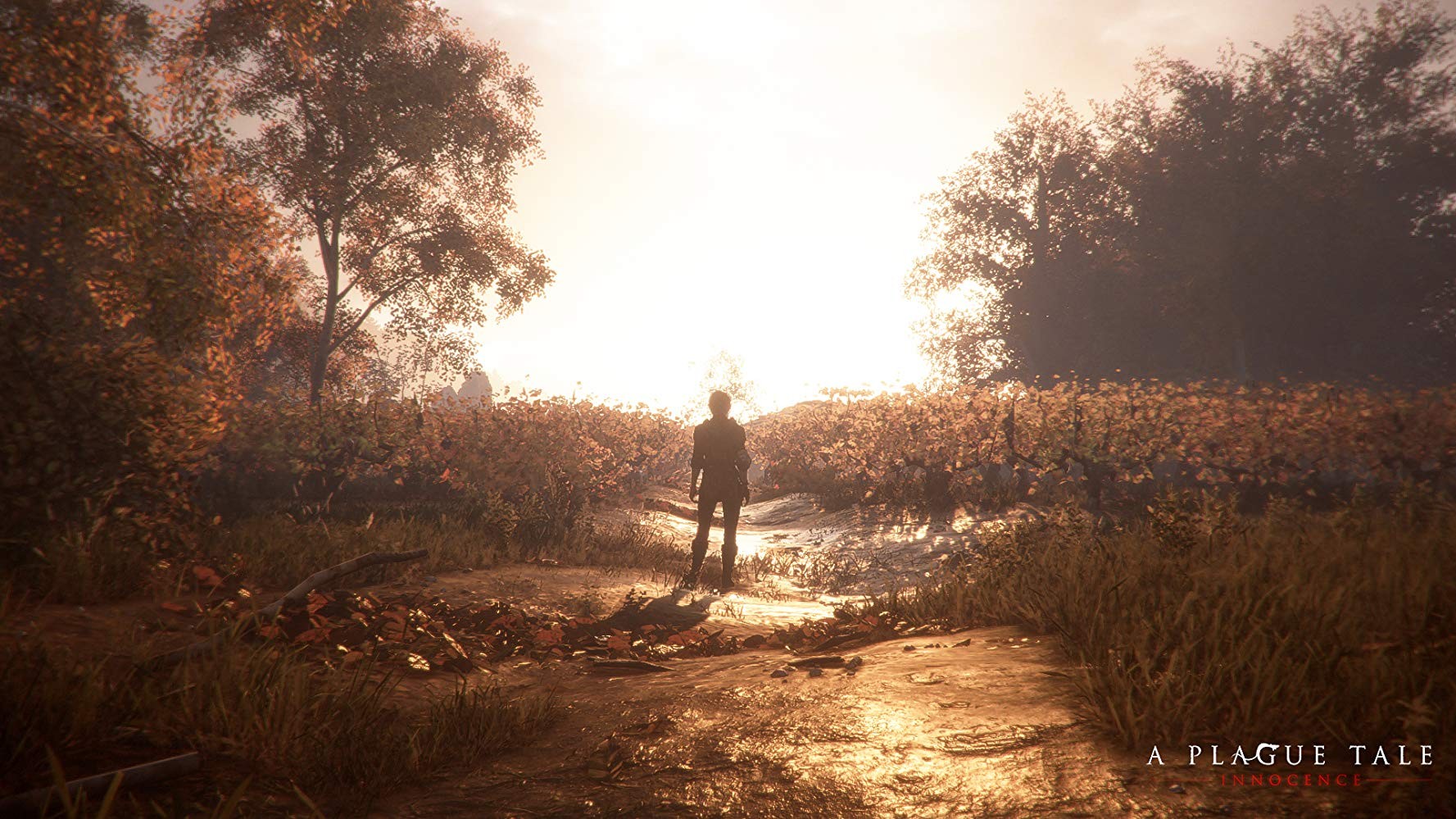 Игра A Plague Tale: Innocence (2019). Скриншот N154105