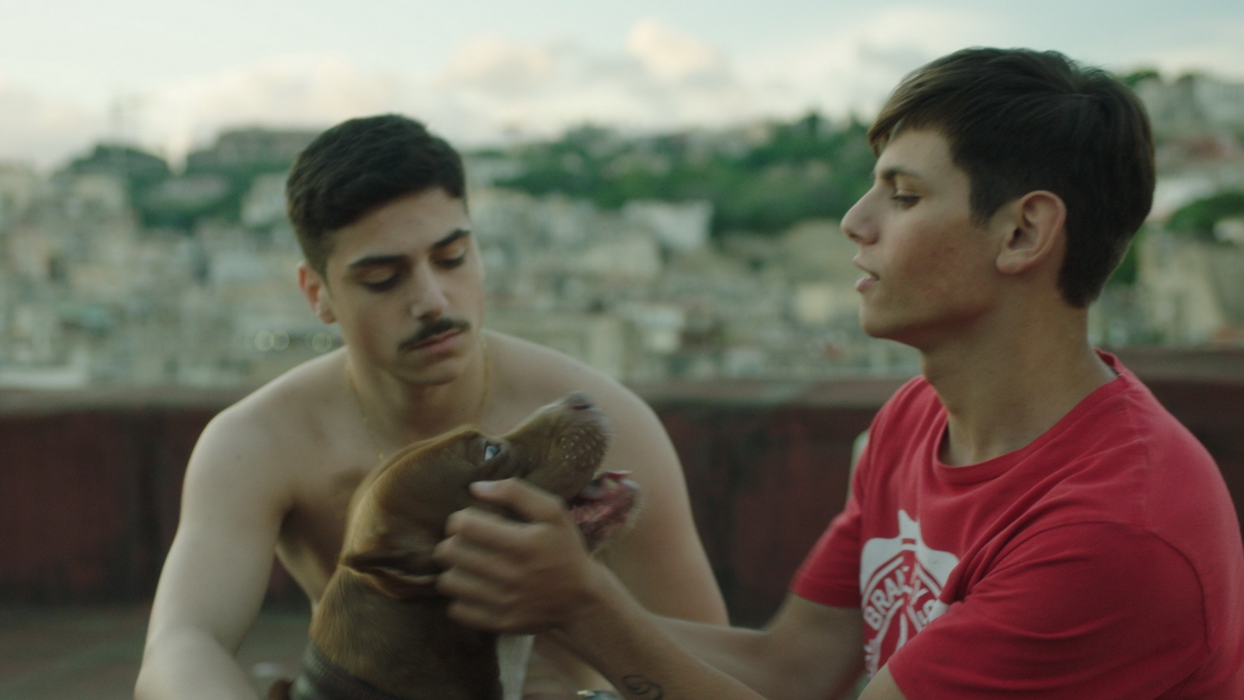 Фильм Пираньи Неаполя (2019). Кадр N155906
