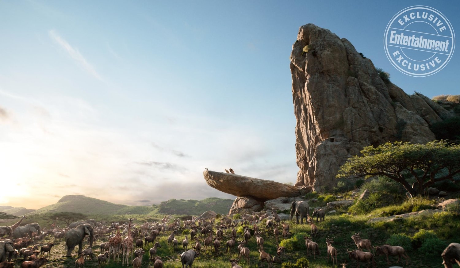 Фильм Король лев (2019). Кадр N157869