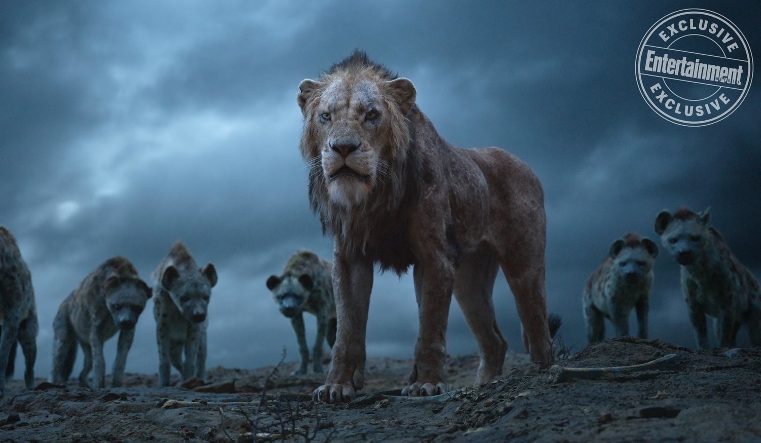 Фильм Король лев (2019). Кадр N157872