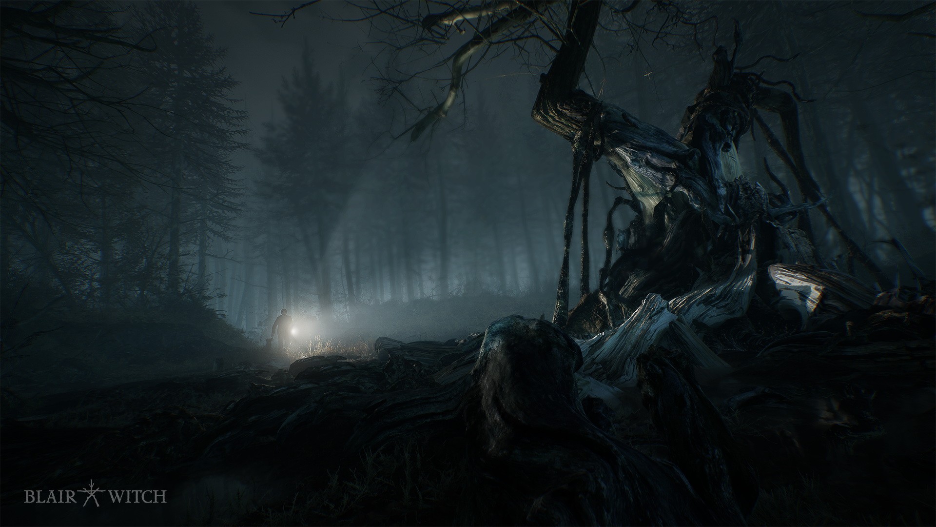 Игра Blair Witch (2019). Скриншот N159292