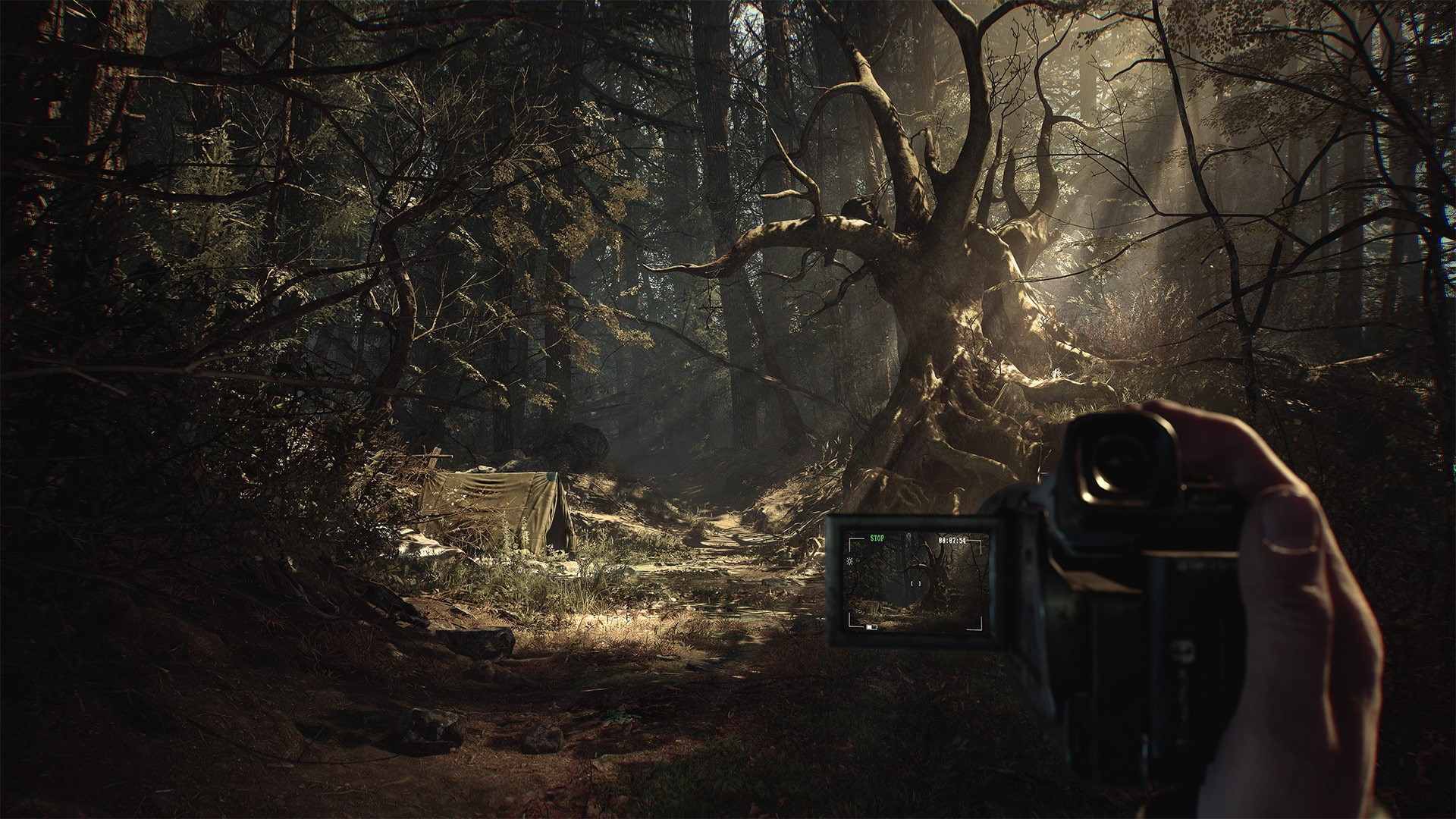 Игра Blair Witch (2019). Скриншот N159296