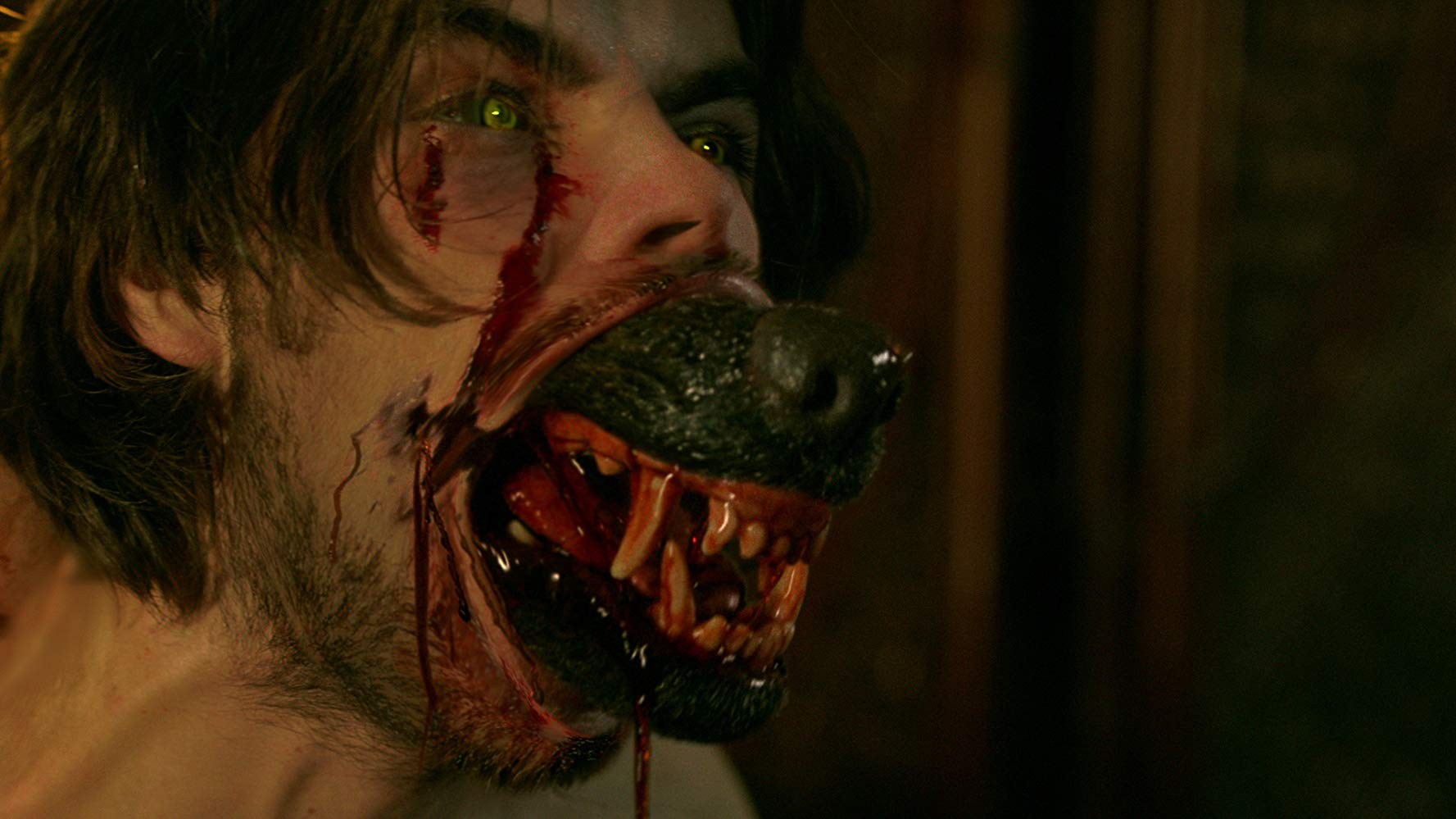 Сериал Хемлок Гроув (2013-2015). Кадр N159349