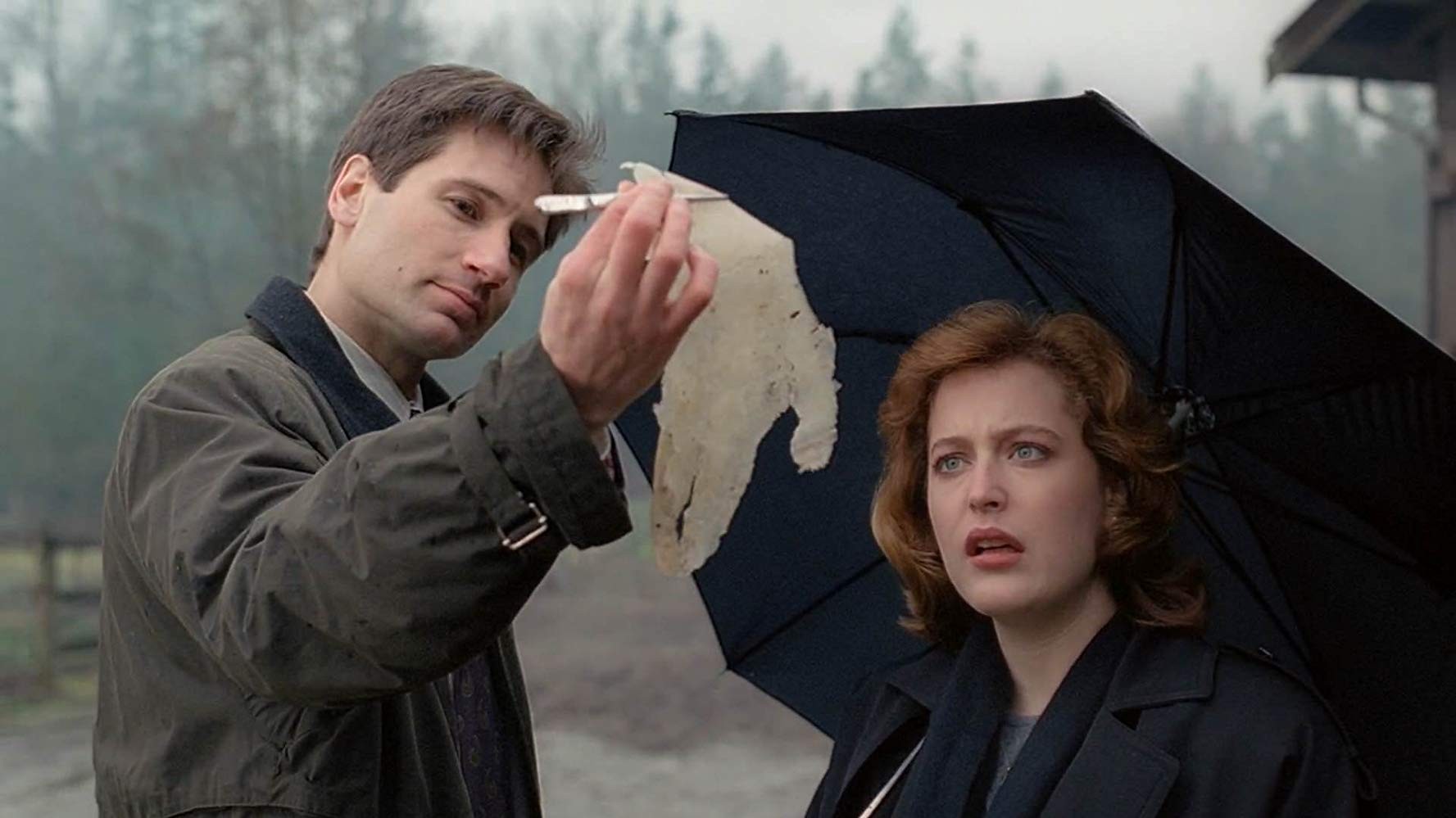 Сериал Секретные материалы (1993-2002). Кадр N159415