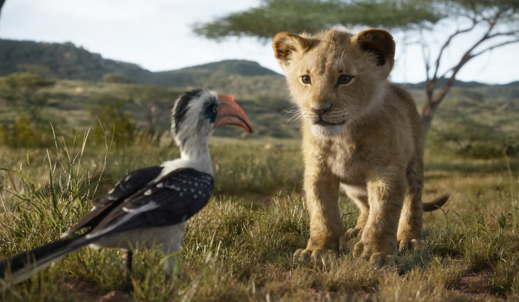 Фильм Король лев (2019). Кадр N159582