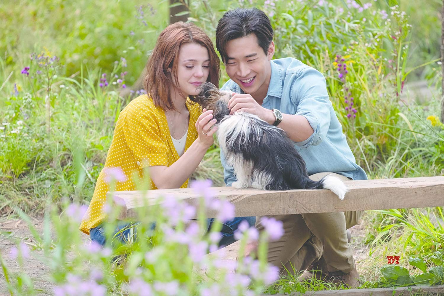 Фильм Собачья жизнь 2 (2019). Кадр N159760