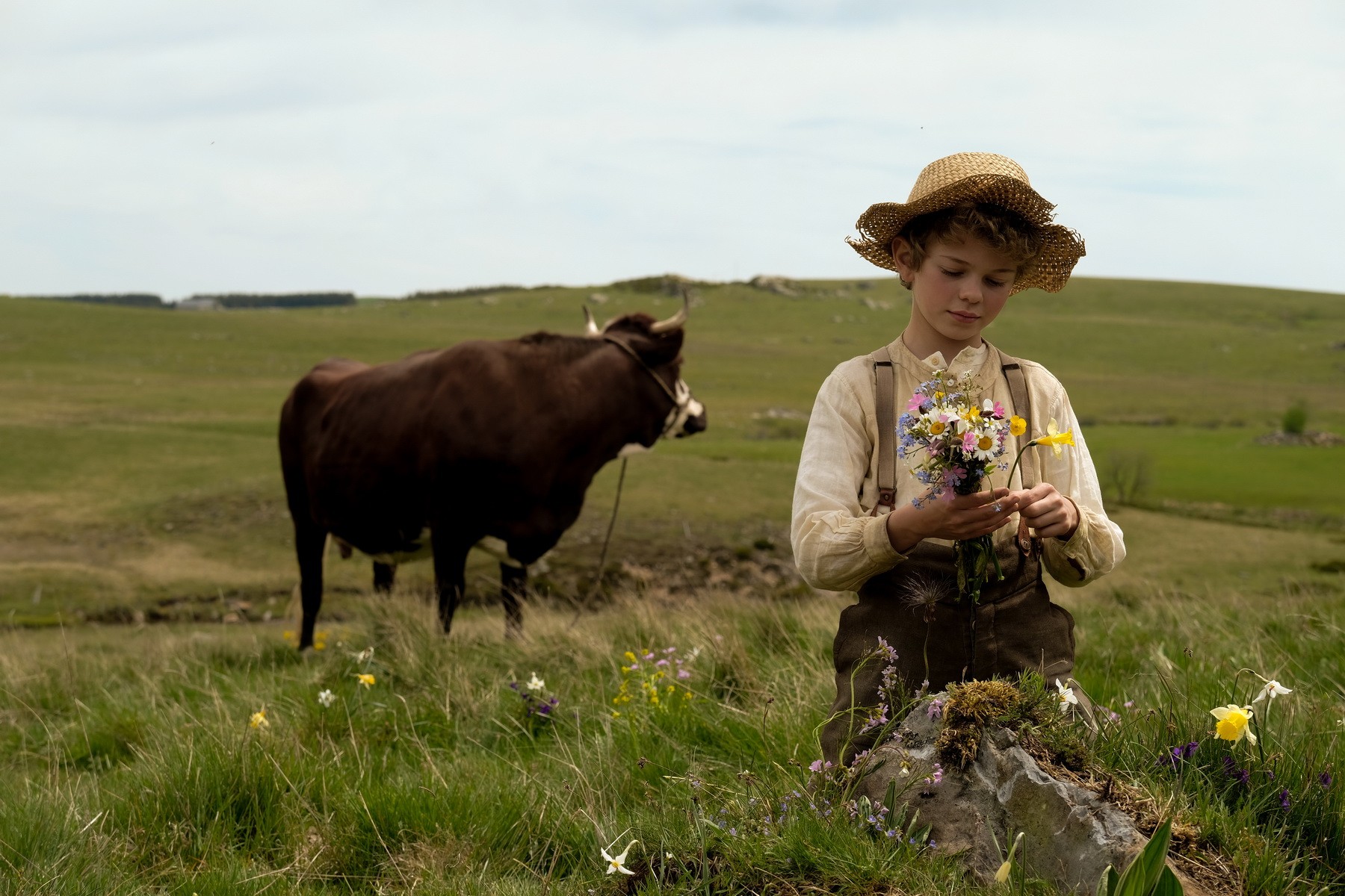 Фильм Приключения Реми (2018). Кадр N160056