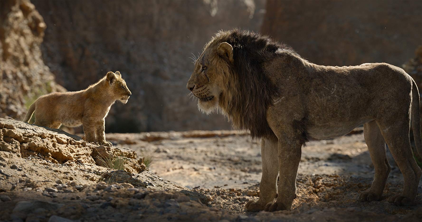 Фильм Король лев (2019). Кадр N160839