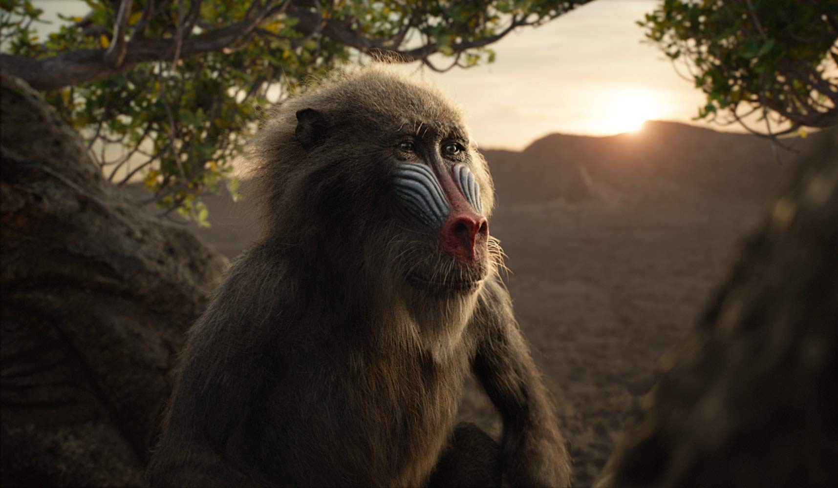Фильм Король лев (2019). Кадр N160840