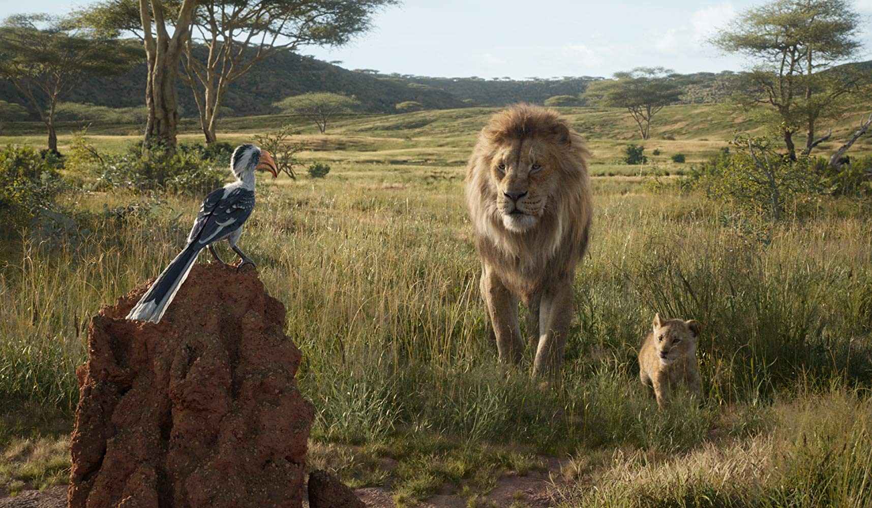 Фильм Король лев (2019). Кадр N160833