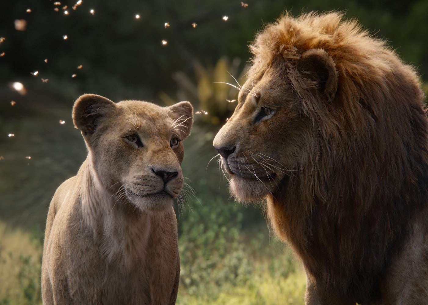 Фильм Король лев (2019). Кадр N160834