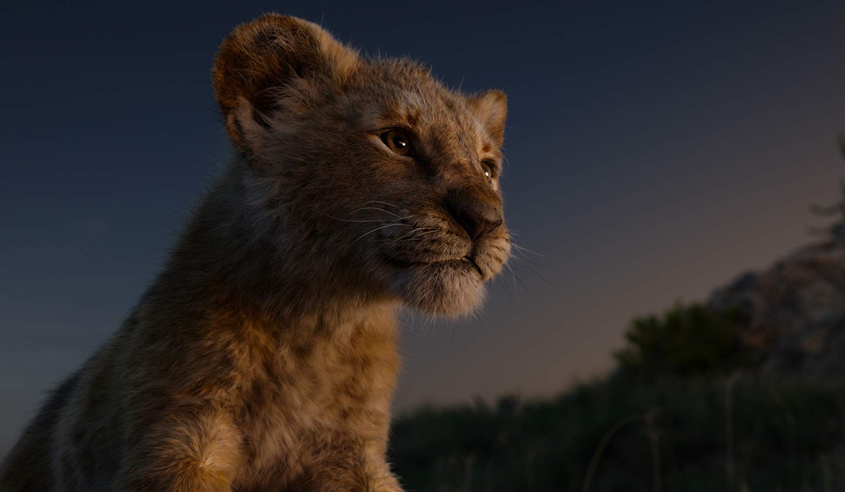 Кадр N160835 из фильма Король лев / The Lion King (2019)