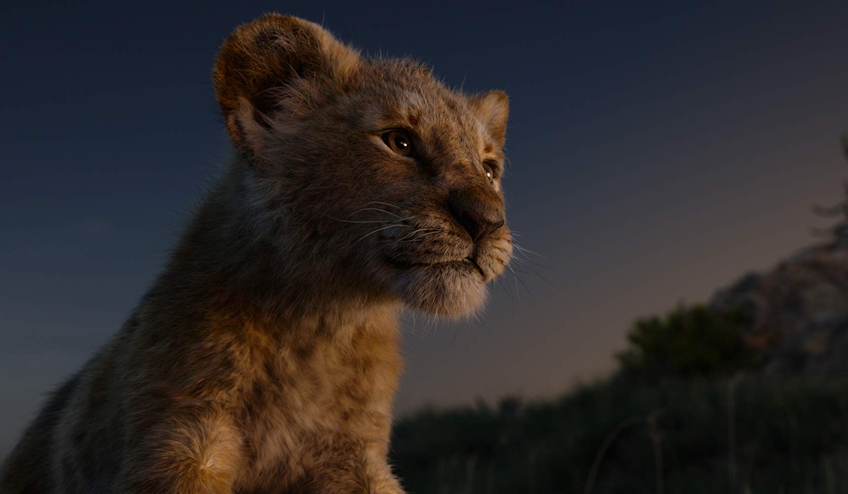 Фильм Король лев (2019). Кадр N160835