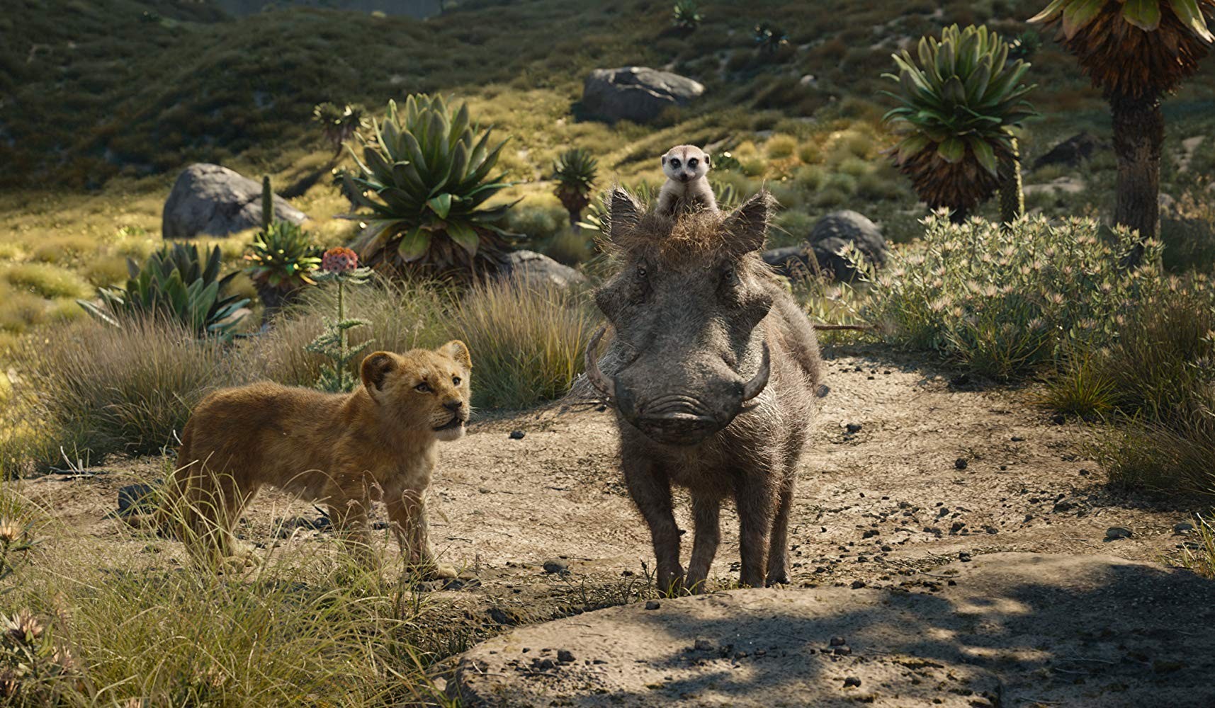 Фильм Король лев (2019). Кадр N160836