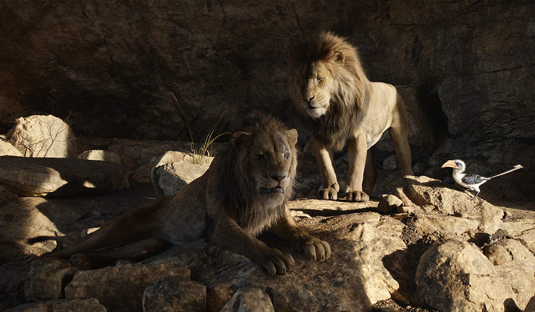 Фильм Король лев (2019). Кадр N160837