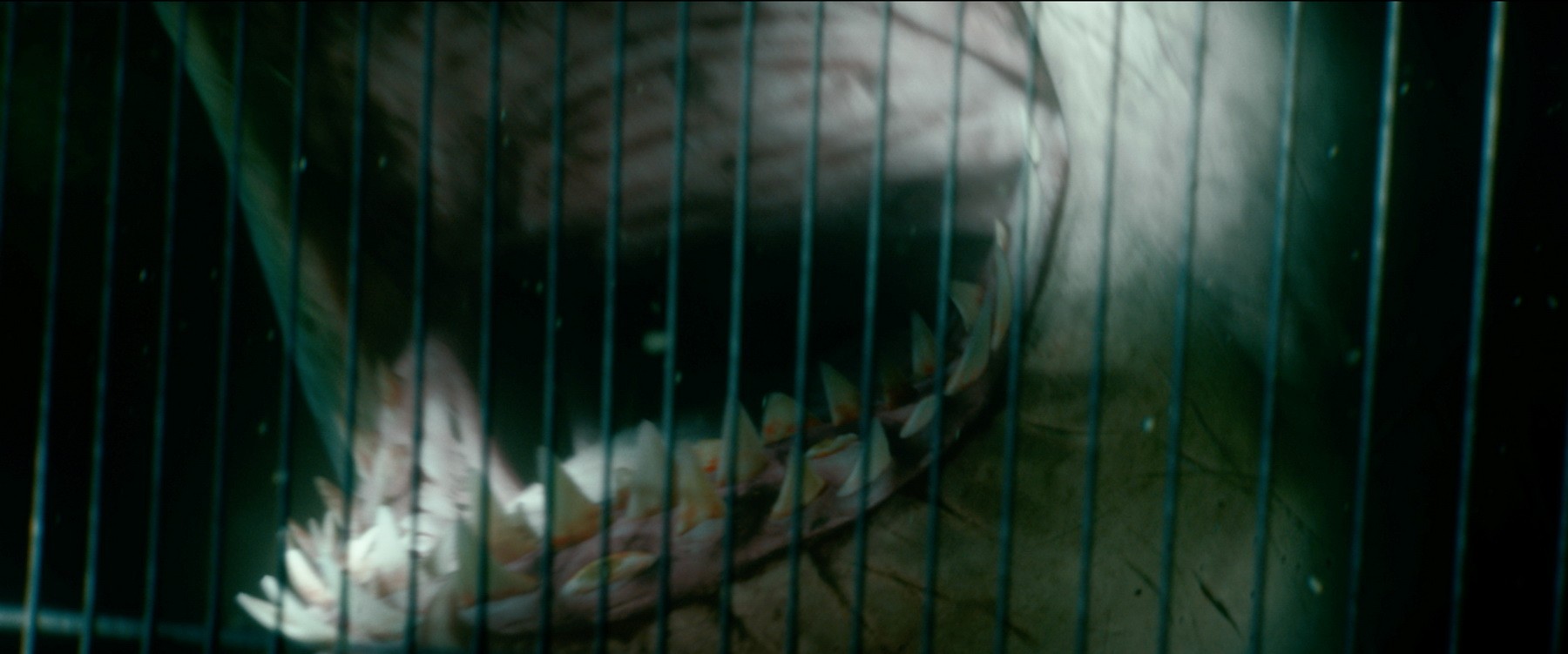 Фильм Синяя бездна 2 (2019). Кадр N161436