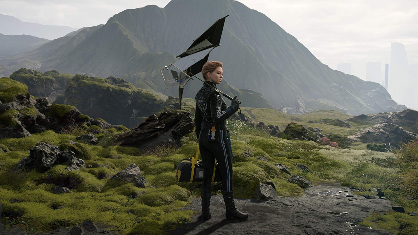 Игра Death Stranding (2019). Скриншот N163556