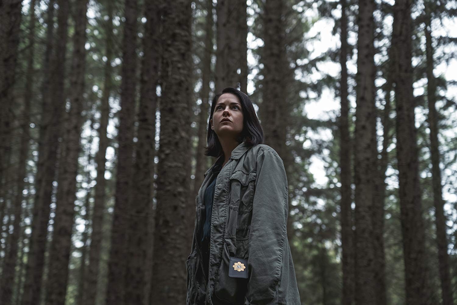 Сериал Дублинские убийства (2019). Кадр N164811