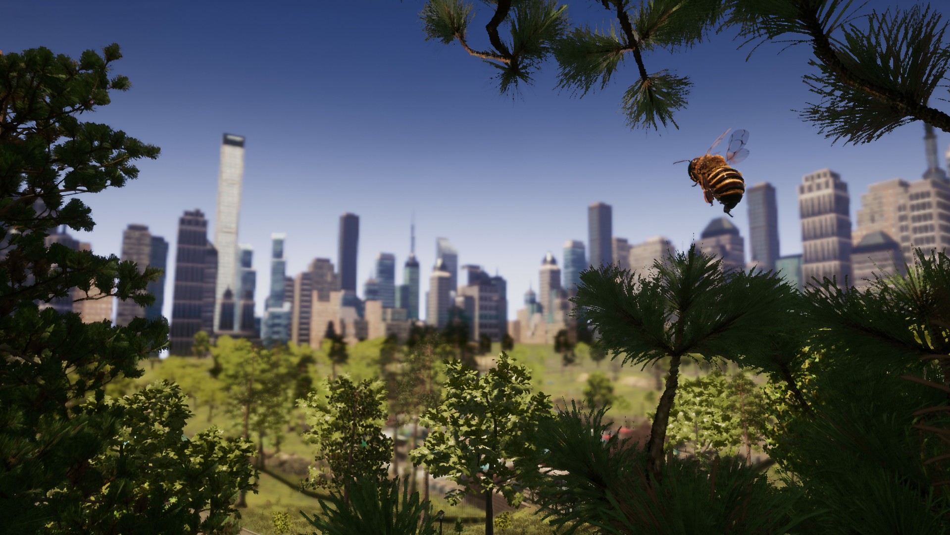 Bee simulator: кадр N164859