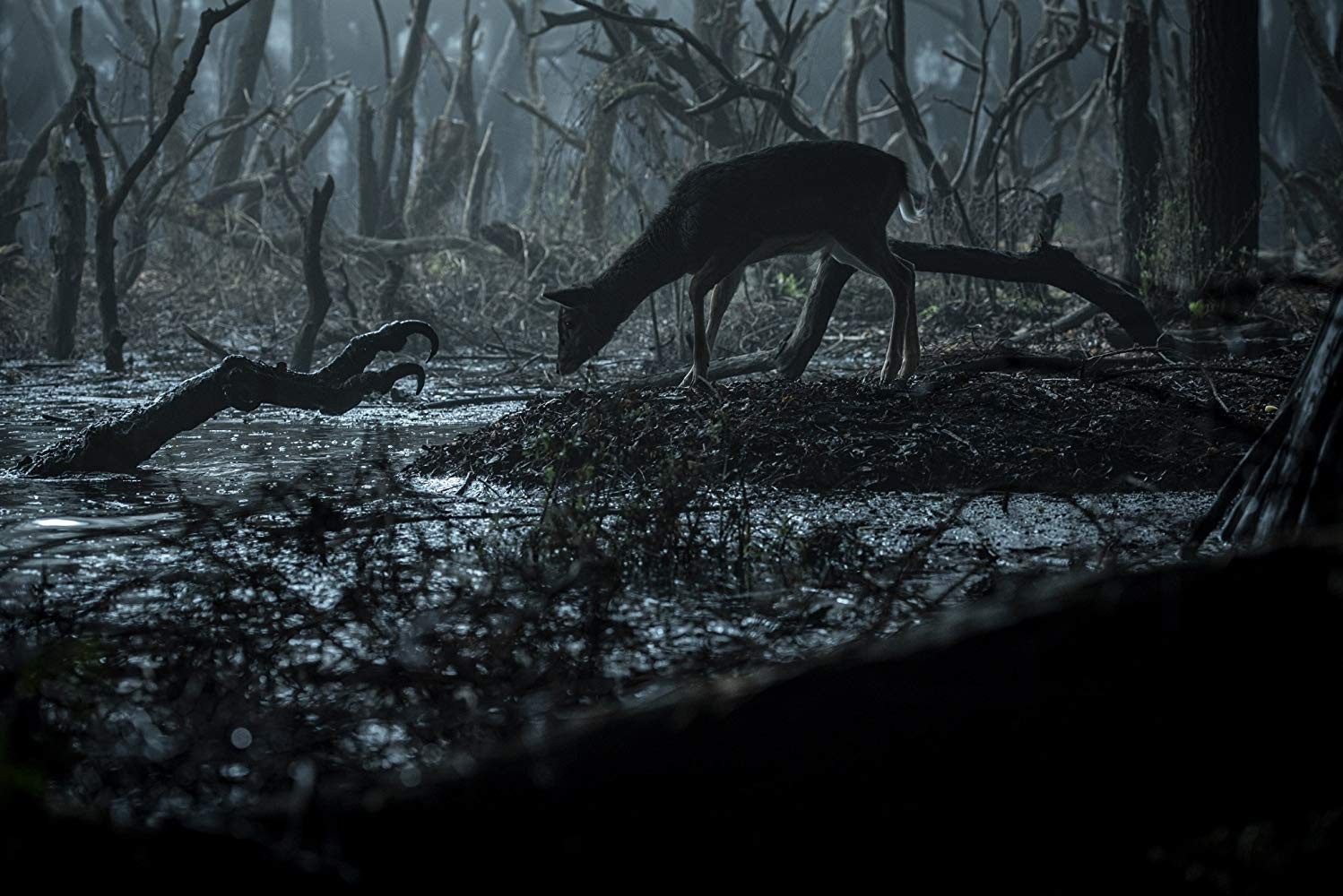 Сериал Ведьмак (2019-2024). Кадр N166309