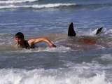 Кадры к подборке фильмов Какие лучшие фильмы про акул стоит посмотреть?