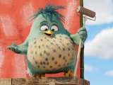 Превью кадра #159585 из мультфильма "Angry Birds 2 в кино"  (2019)