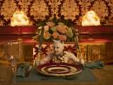 Превью кадра #160959 из фильма "Кошки"  (2019)