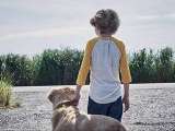 Превью кадра #162730 к фильму "В высокой траве" (2019)