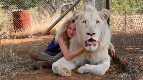 Кадр к фильму Миа и белый лев / Mia et le lion blanc