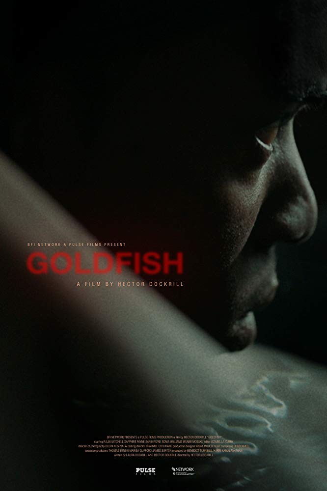 Goldfish (2020) отзывы. Рецензии. Новости кино. Актеры фильма Goldfish. Отзывы о фильме Goldfish
