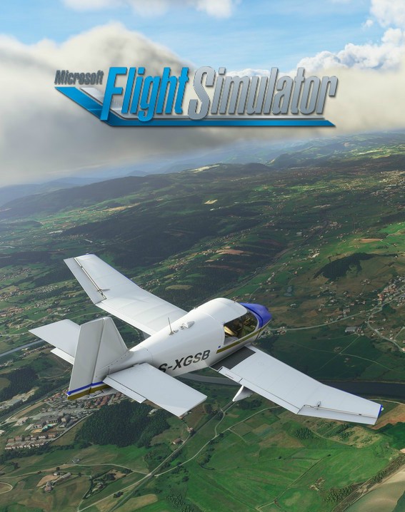 Microsoft Flight Simulator