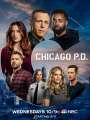 Постер к сериалу "Полиция Чикаго"