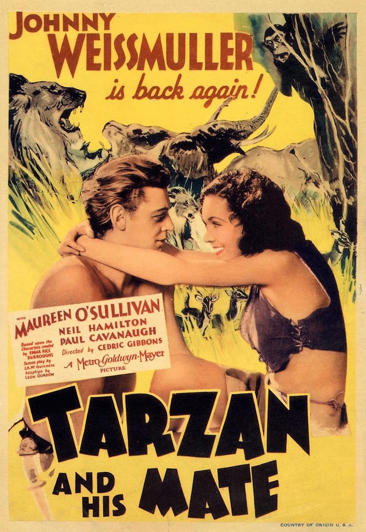 Тарзан и его подруга / Tarzan and His Mate (1934) отзывы. Рецензии. Новости кино. Актеры фильма Тарзан и его подруга. Отзывы о фильме Тарзан и его подруга
