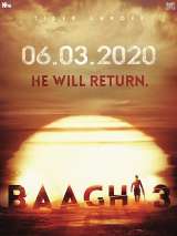 Превью постера #168740 к фильму "Бунтарь 3"  (2020)