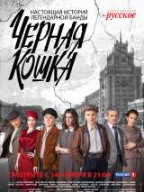 Превью постера #171576 к фильму "Черная кошка" (2016)